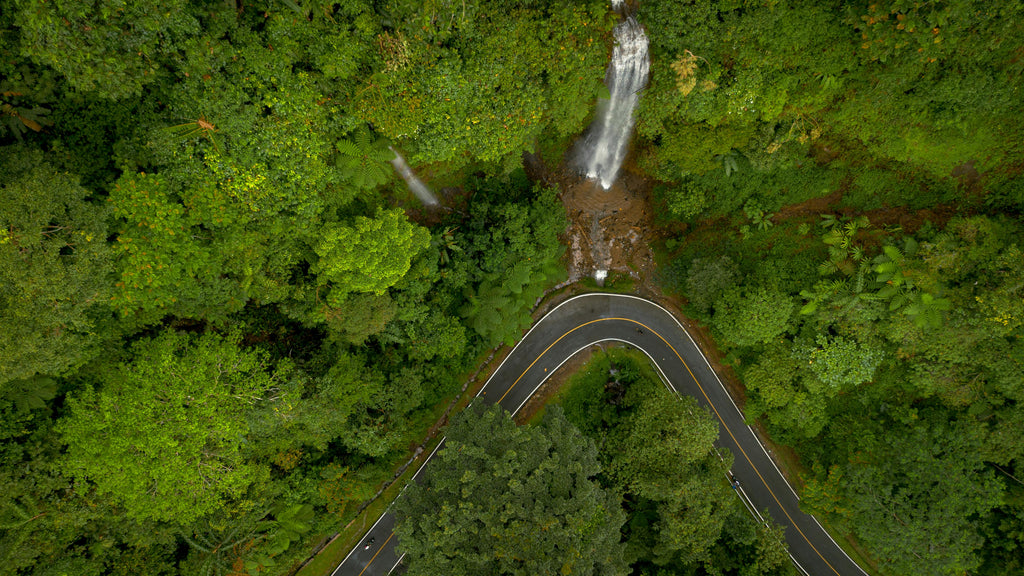 Sustainable Escapes: Top Eco-Friendly Destinations for Conscious Travelers