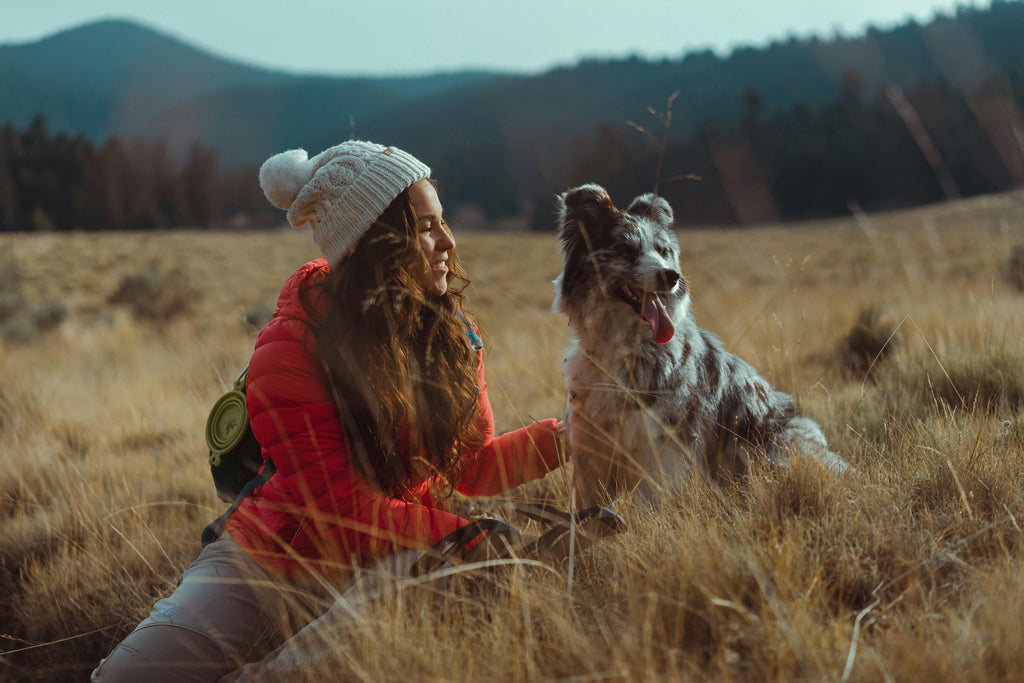 How to Plan Epic Adventures with Your Pet